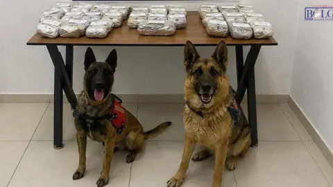 Şemdinli'de Kritik Operasyon: Araçtaki Gizli Bölmelerden 21 Kilo Esrar Çıktı