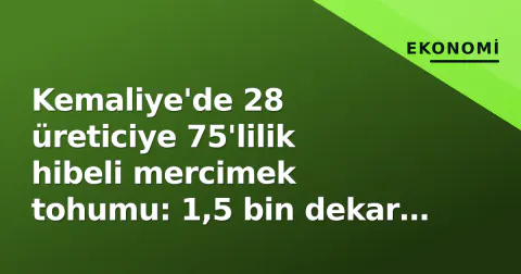 Kemaliye'de 28 üreticiye 75'lilik hibeli mercimek tohumu: 1,5 bin dekar hedef