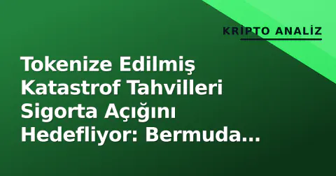 Tokenize Edilmiş Katastrof Tahvilleri Sigorta Açığını Hedefliyor: Bermuda Düzenleyicisi Onaylı Çıkış Planı