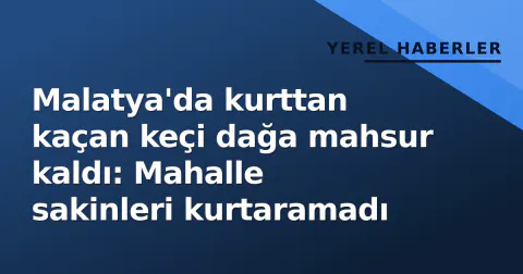 Malatya'da kurttan kaçan keçi dağa mahsur kaldı: Mahalle sakinleri kurtaramadı