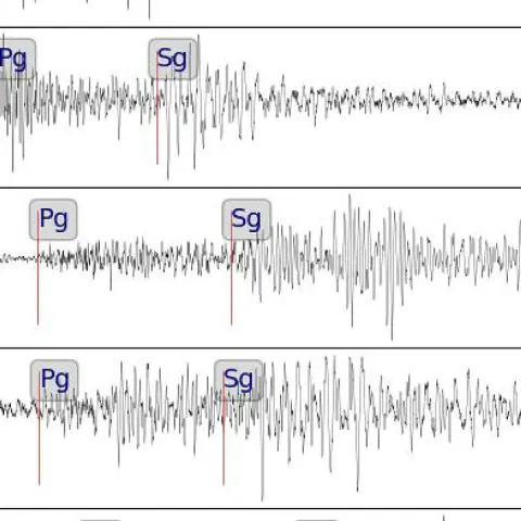 Avusturya'da Korkutan Sarsıntı: Krippau'da Deprem Meydana Geldi