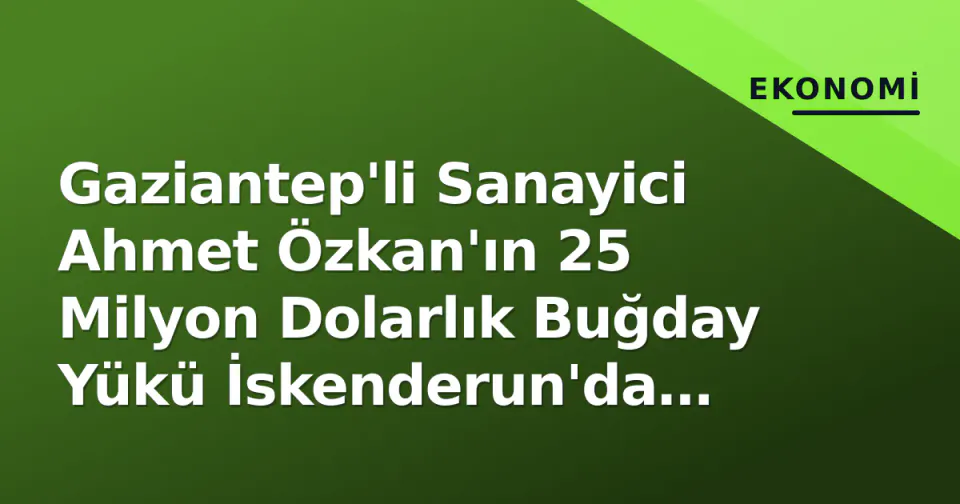 Gaziantep'li Sanayici Ahmet Özkan'ın 25 Milyon Dolarlık Buğday Yükü İskenderun'da Sorgulama Altında görseli