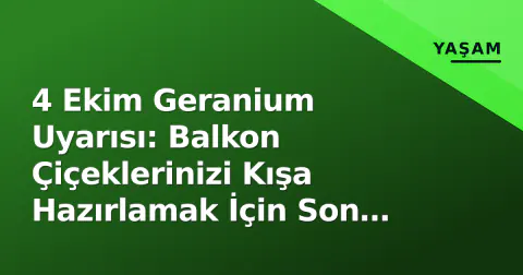 4 Ekim Geranium Uyarısı: Balkon Çiçeklerinizi Kışa Hazırlamak İçin Son Çağrı