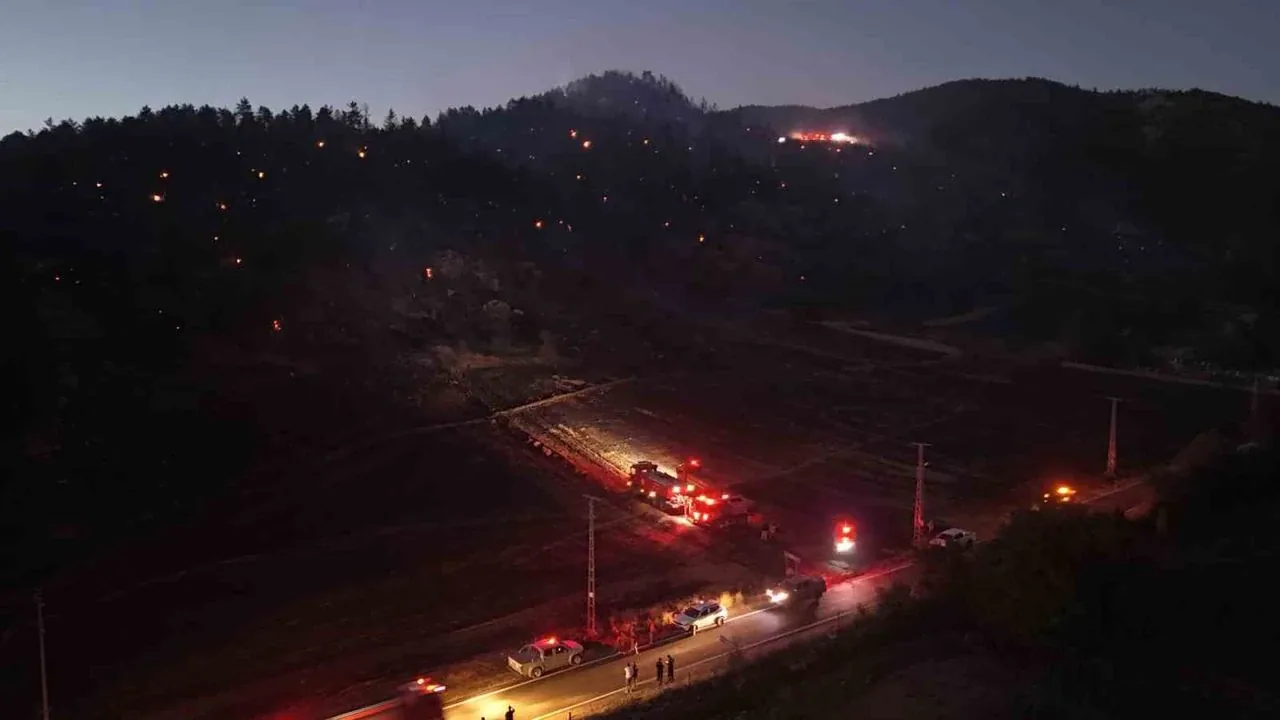Kayseri Yahyalı'nda orman yangını kontrol altına alındı, soğutma çalışmaları sürüyor