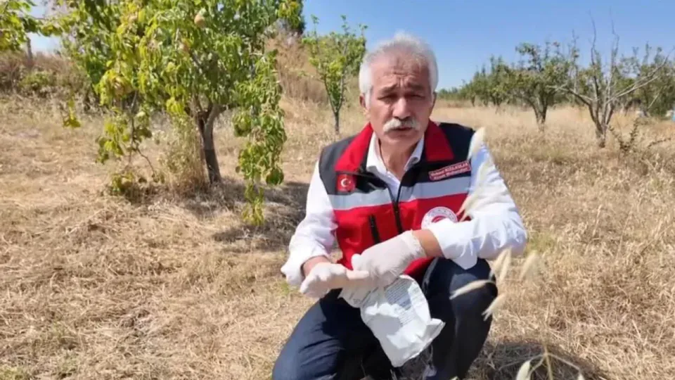 Tekirdağ'da Tarla Faresine Karşı Çiftçilere Kritik Uyarı görseli