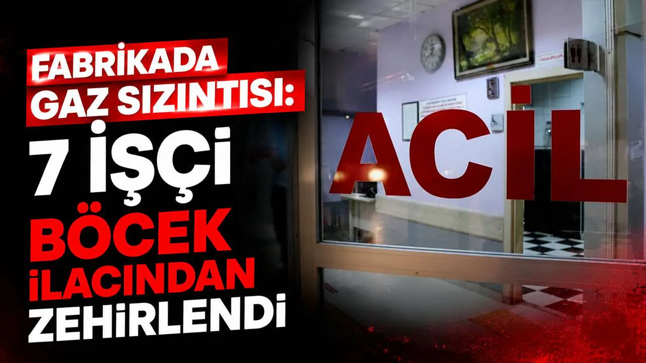 Edirne'de Fabrikada Gaz Sızıntısı: 7 İşçi Zehirlendi Edirne'de Fabrikada Gaz Sızıntısı: 7 İşçi Zehirlendi