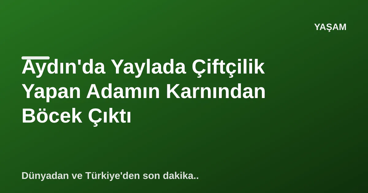 Aydın'da Yaylada Çiftçilik Yapan Adamın Karnından Böcek Çıktı Aydın'da Yaylada Çiftçilik Yapan Adamın Karnından Böcek Çıktı