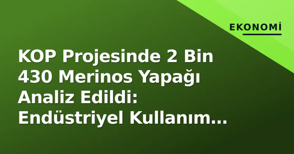 KOP Projesinde 2 Bin 430 Merinos Yapağı Analiz Edildi: Endüstriyel Kullanım Yolları Arandı görseli