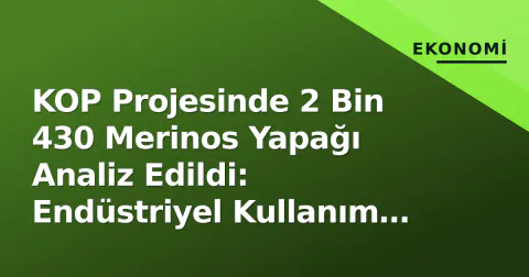 KOP Projesinde 2 Bin 430 Merinos Yapağı Analiz Edildi: Endüstriyel Kullanım Yolları Arandı