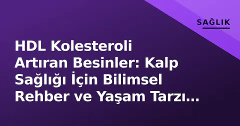 HDL Kolesteroli Artıran Besinler: Kalp Sağlığı İçin Bilimsel Rehber ve Yaşam Tarzı Stratejileri