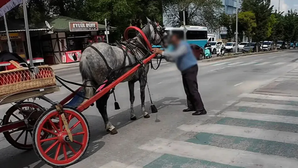 Kütahya'da Korku Dolu Anlar: Kaçan Fayton Atı Trafiği Felç Etti görseli