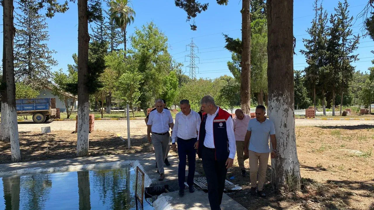 Adana'da 12 Milyon Sazan Yavrusu İç Su Kaynaklarına Bırakılıyor Adana'da 12 Milyon Sazan Yavrusu İç Su Kaynaklarına Bırakılıyor