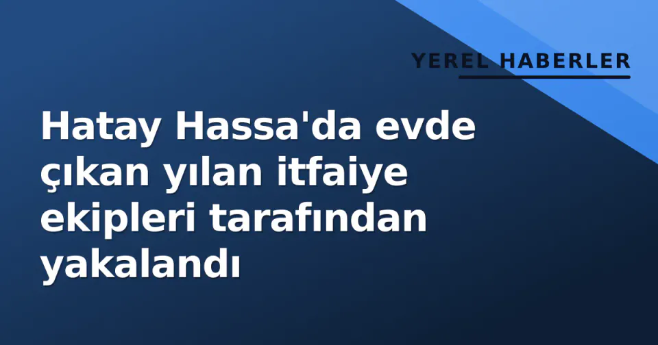 Hatay Hassa'da evde çıkan yılan itfaiye ekipleri tarafından yakalandı görseli