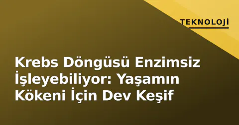 Krebs Döngüsü Enzimsiz İşleyebiliyor: Yaşamın Kökeni İçin Dev Keşif