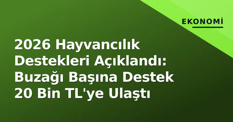 2026 Hayvancılık Destekleri Açıklandı: Buzağı Başına Destek 20 Bin TL'ye Ulaştı görseli