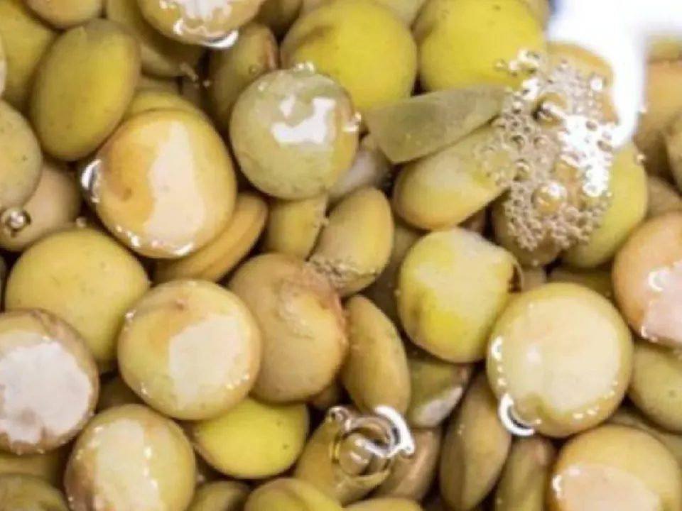 Yeşil Mercimek Protein Değeri Yumurtayı Geçiyor mu? 'Kara Şimşek' görseli