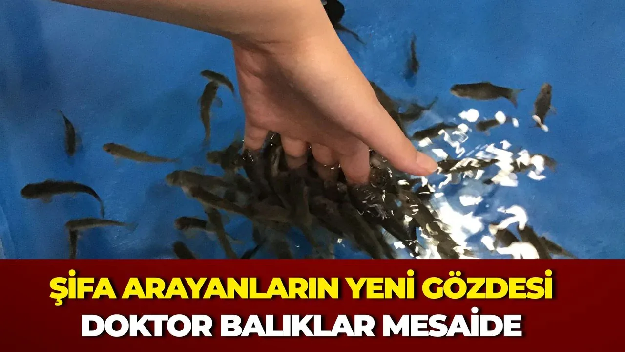 Kırşehir'de Termal Suların Şifası: Doktor Balıklar Terapi Merkezi Oldu Kırşehir'de Termal Suların Şifası: Doktor Balıklar Terapi Merkezi Oldu