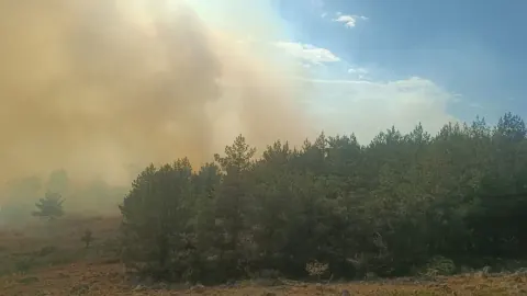 Bolu Gerede'de orman yangını: 2 helikopter ve onlarca ekiplerle mücadele sürüyor