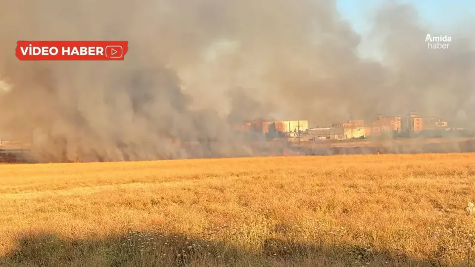 Nusaybin'de Sınır Hattında Korkutan Yangın: Ekipler Seferber Oldu görseli