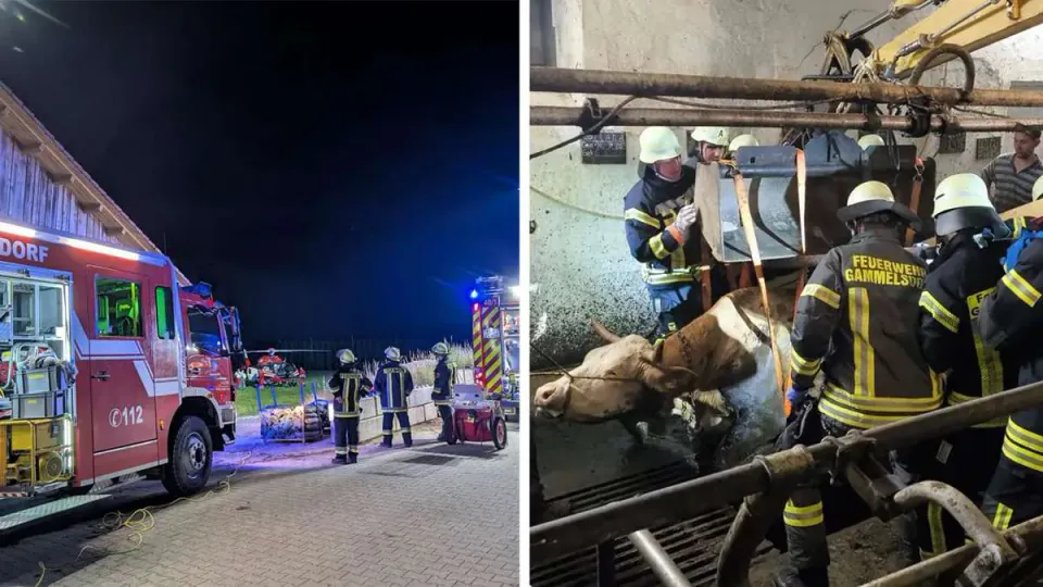 Gammelsdorf'ta Gece Yarısı Korkusu: Ağır İş Kazası ve Büyük Çıkarma görseli