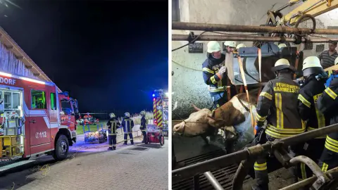 Gammelsdorf'ta Gece Yarısı Korkusu: Ağır İş Kazası ve Büyük Çıkarma
