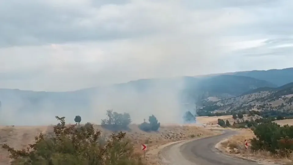 Bolu Seben'de arazi yangını müdahale ile kontrol altına alındı görseli