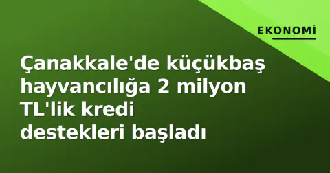 Çanakkale'de küçükbaş hayvancılığa 2 milyon TL'lik kredi destekleri başladı