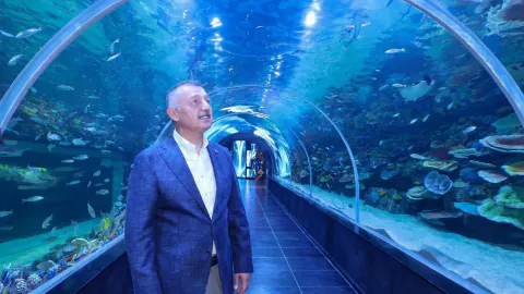 Kocaeli'de Dev Akvaryum Açılıyor: Bilet Fiyatları ve Ziyaret Saatleri Belli Oldu