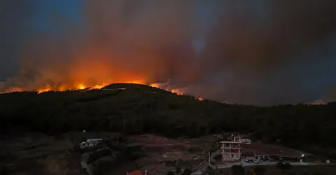 Aydın'da Korkutan Yangın: Zeytinlikler Alevlere Teslim, Mahalleler Tahliye Edildi