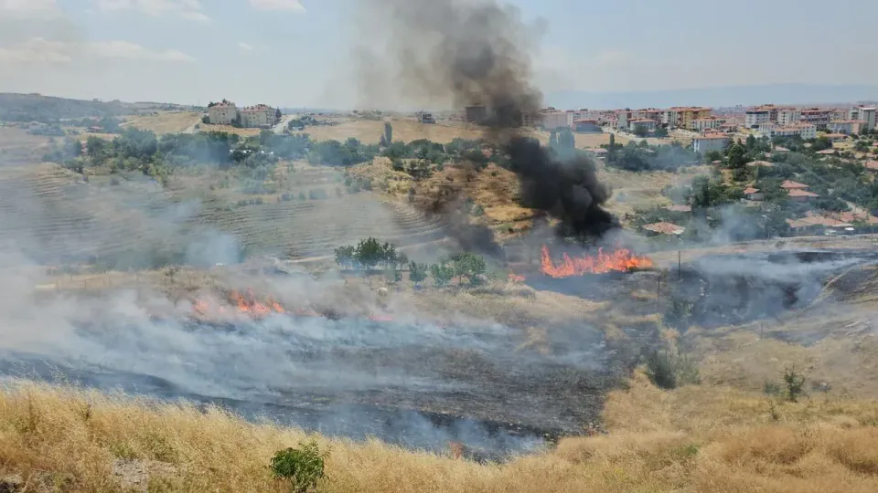 Çorum'da Şehitlik Arkasındaki Alanda Yangın görseli