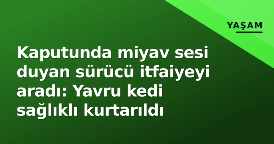 Kaputunda miyav sesi duyan sürücü itfaiyeyi aradı: Yavru kedi sağlıklı kurtarıldı görseli