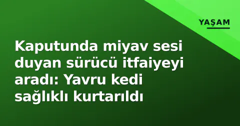 Kaputunda miyav sesi duyan sürücü itfaiyeyi aradı: Yavru kedi sağlıklı kurtarıldı