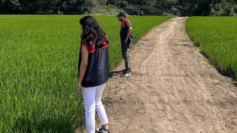 Pehlivanköy'de Çeltik Üretimi Sıkı Takipte: Saha Denetimleri Başladı