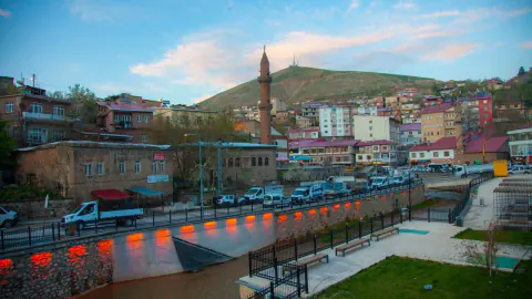 Bitlis'in 2025 yılı uluslararası göç verileri açıklandı: Net göç eksi 3