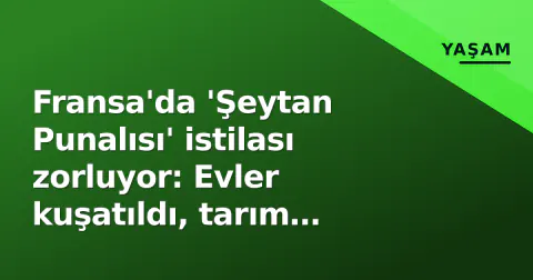 Fransa'da 'Şeytan Punalısı' istilası zorluyor: Evler kuşatıldı, tarım hasarı veriyor