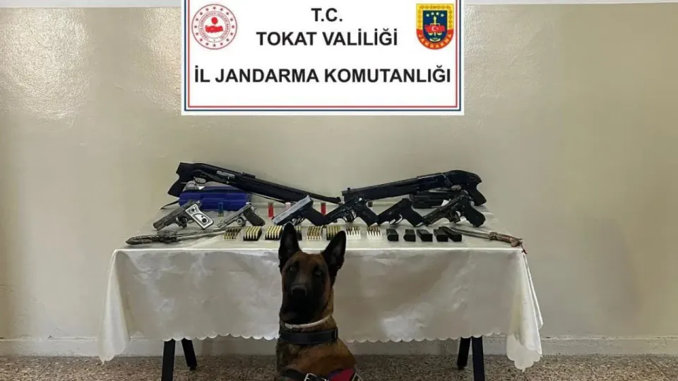 Tokat Erbaa'da Silah Kaçakçılığı Operasyonu: 15 Şüpheliye Eş Zamanlı Baskın görseli