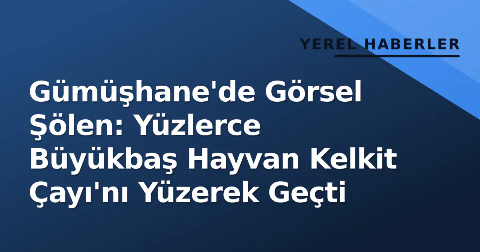 Gümüşhane'de Görsel Şölen: Yüzlerce Büyükbaş Hayvan Kelkit Çayı'nı Yüzerek Geçti görseli