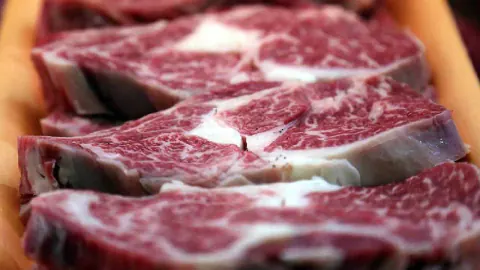 Adana ve Mersin'de Gıda Skandalı: Tantuni ve Beyranlarda At Eti Tespit Edildi