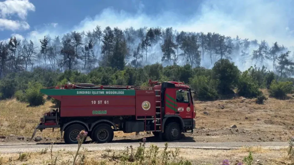 Balıkesir Kepsut'ta Orman Yangını: Yerleşim Yerleri Tehdit Altında görseli
