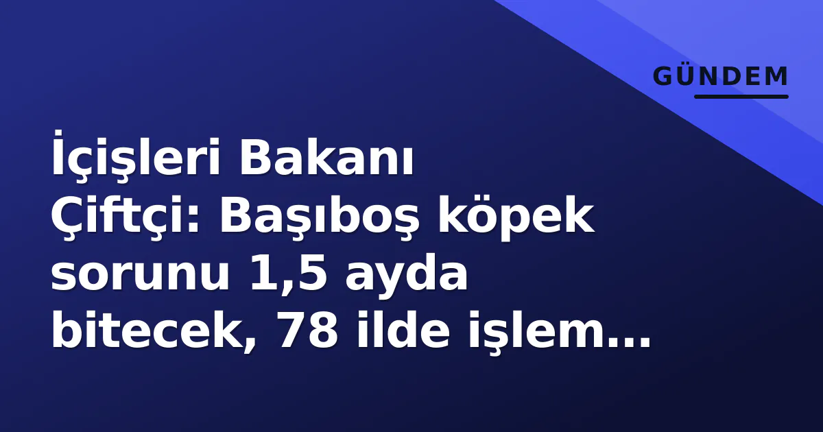 İçişleri Bakanı Çiftçi: Başıboş köpek sorunu 1,5 ayda bitecek, 78 ilde işlem tamam İçişleri Bakanı Çiftçi: Başıboş köpek sorunu 1,5 ayda bitecek, 78 ilde işlem tamam