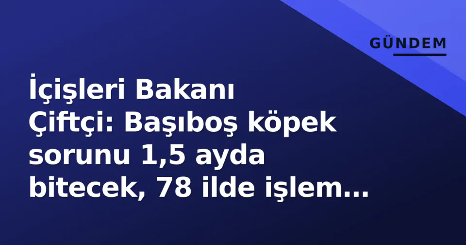 İçişleri Bakanı Çiftçi: Başıboş köpek sorunu 1,5 ayda bitecek, 78 ilde işlem tamam görseli