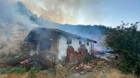 Kastamonu'da ahşap evden çıkan yangın ormana sıçradı