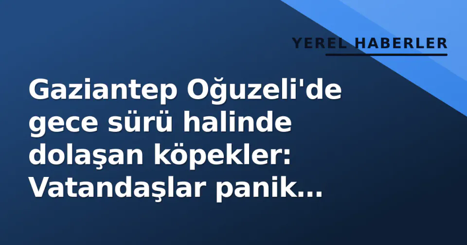 Gaziantep Oğuzeli'de gece sürü halinde dolaşan köpekler: Vatandaşlar panik içinde görseli
