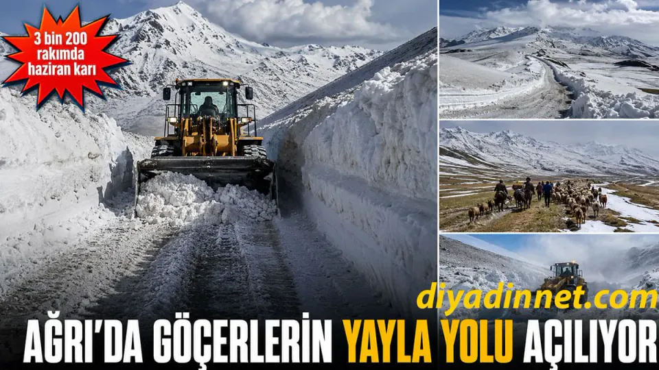Ağrı Taşlıçay'da 3 Bin 200 Rakımlı Yayla Yolları Göçerler İçin Açılıyor görseli