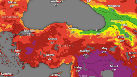 Flächenbrand Nedir? Yaz Mevsiminde Artan Alan Yangınları ve Risk Analizi