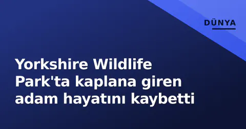 Yorkshire Wildlife Park'ta kaplana giren adam hayatını kaybetti