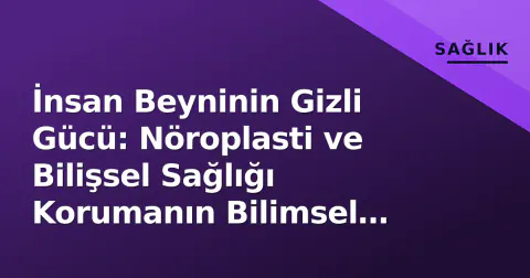 İnsan Beyninin Gizli Gücü: Nöroplasti ve Bilişsel Sağlığı Korumanın Bilimsel Yolları