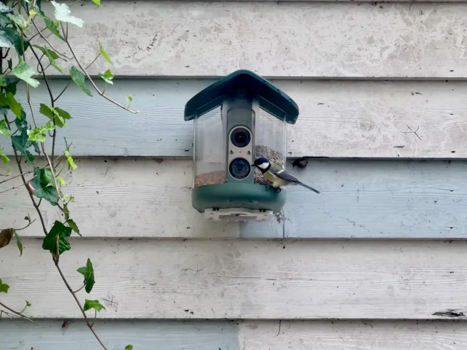 Yapay zekalı kuş beslemeci deneyimi: 350 dolarlık Kiwibit Bird Feeder 2 Pro gerçekten işe yarar mı? görseli