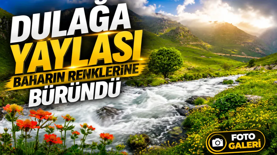 Gümüşhane'nin Alpleri: Dulağa Yaylası Doğal Güzelliğiyle Büyülüyor görseli
