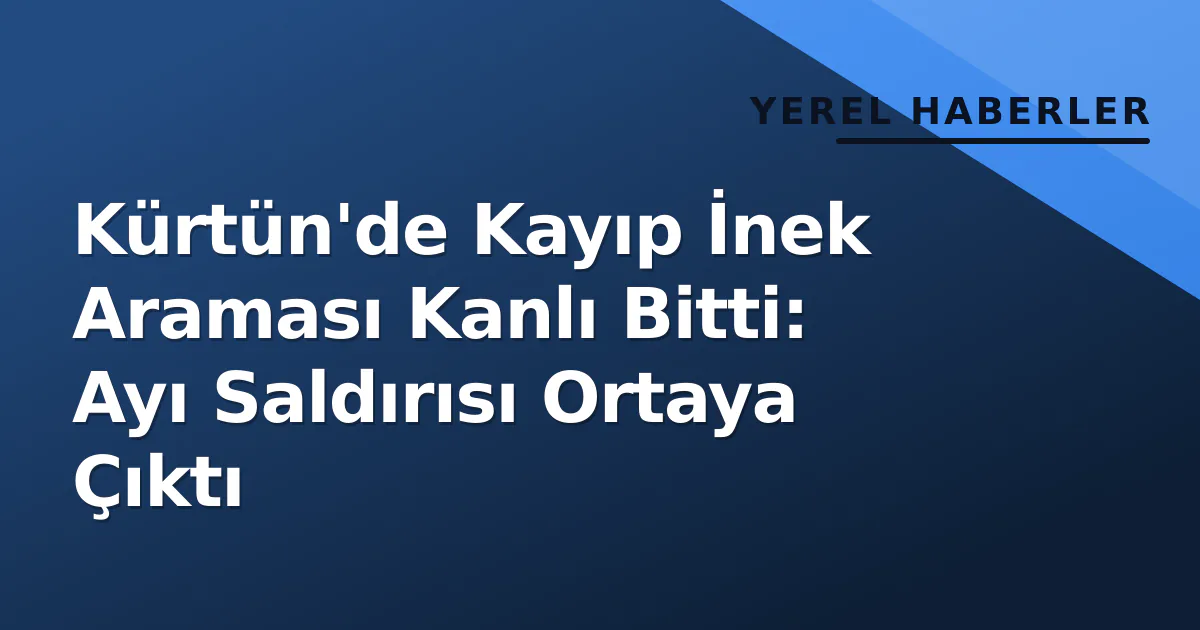 Kürtün'de Kayıp İnek Araması Kanlı Bitti: Ayı Saldırısı Ortaya Çıktı Kürtün'de Kayıp İnek Araması Kanlı Bitti: Ayı Saldırısı Ortaya Çıktı